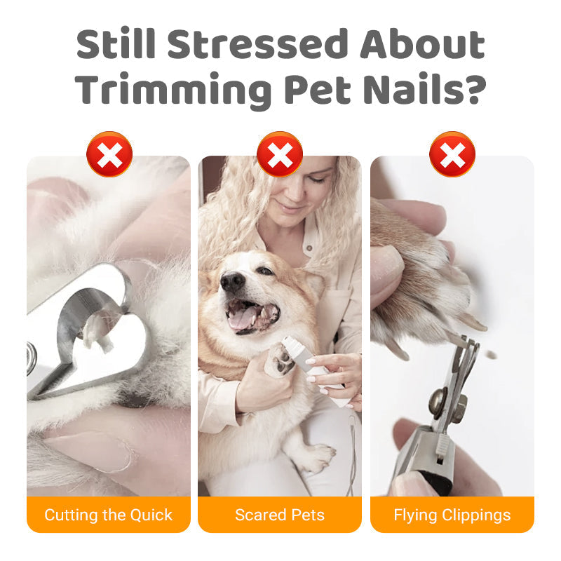 🐾 Gyengédebb kisállat körömápolási eszközök ✂️💖