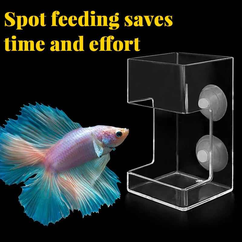 🐠 Akváriumi etetőgyűrű és etetőtál 🌿