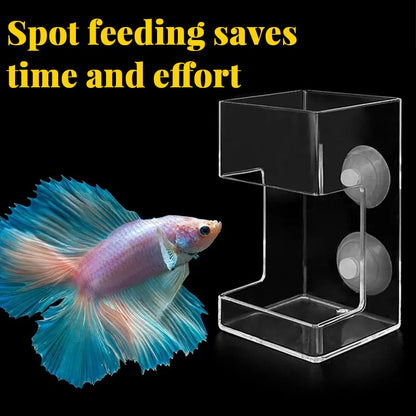🐠 Akváriumi etetőgyűrű és etetőtál 🌿