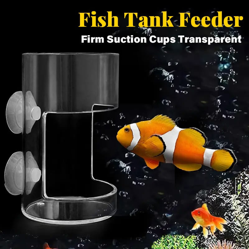🐠 Akváriumi etetőgyűrű és etetőtál 🌿