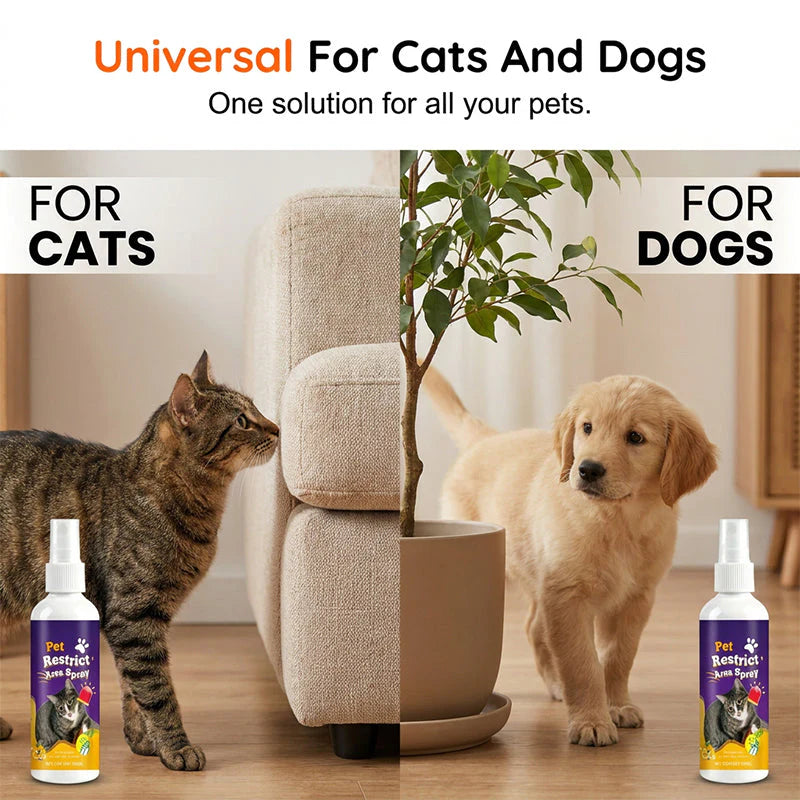 🐾🚫🌿 Állatriasztó spray – természetes macska- és kutyariasztó 🐕