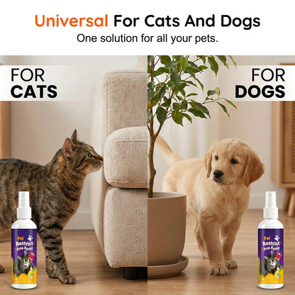 🐾🚫🌿 Állatriasztó spray – természetes macska- és kutyariasztó 🐕