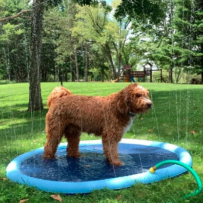 🐶📢 50% kedvezmény!!⏰ Összecsukható matrac háziállatok számára, kültéri vízjátékhoz 🌊